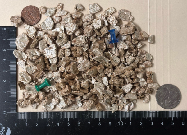 Coarse grade expanded vermiculite particles shown next to a ruler and coin for scale reference